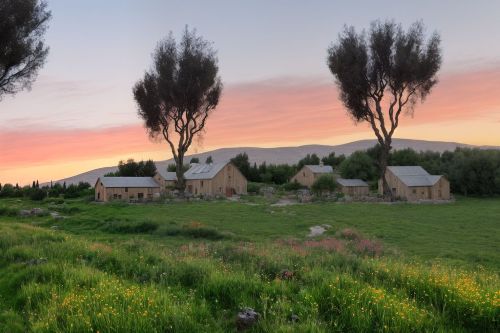 קרקע חקלאית ונחלות בצפון